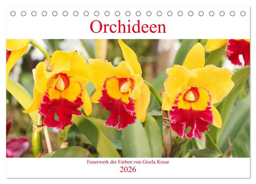 Gisela kruse orchideen - gisela,