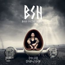 Endlich Erwachsen von Bass Sultan Hengzt | CD | Zustand sehr gut