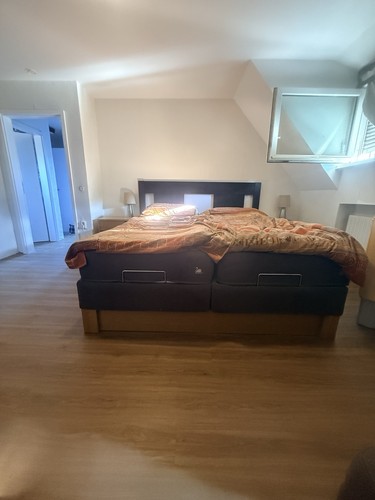 Svane zefir intelligel - svane,