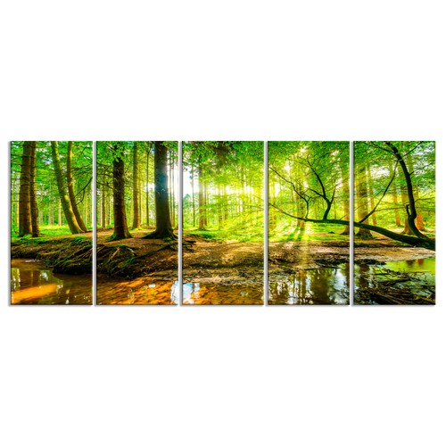 Sonne wald landschaft - landschaft, natur