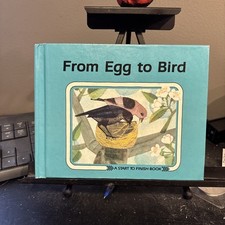 From Egg to Bird (Start to