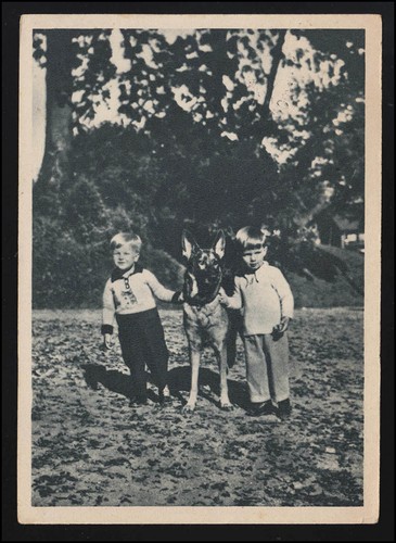 Foto kinder schäferhund - ak, &