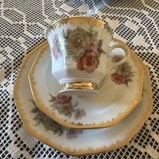 Winterling Marktleuthen Bavaria Sammelgedeck Sammeltasse Mokka Porzellan Rose