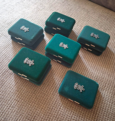 11x leere grüne - 11x,