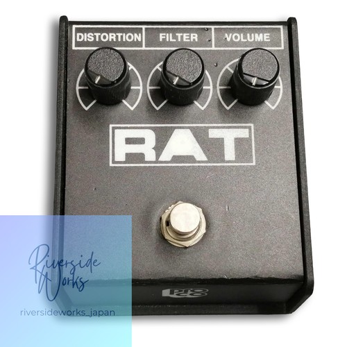 Proco rat - proco,