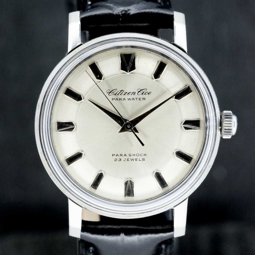 Citizen ace parawater - citizen,