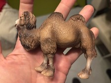 Schleich 14026 Baktrisches