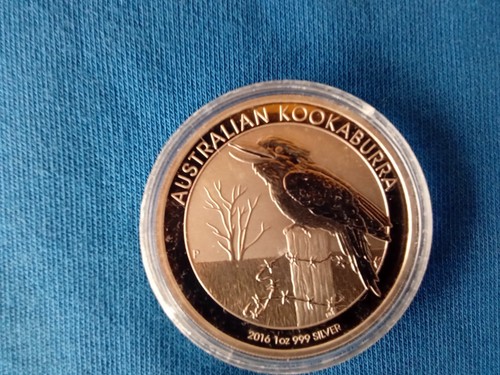 Australian kookaburra 2016 - kookaburra,