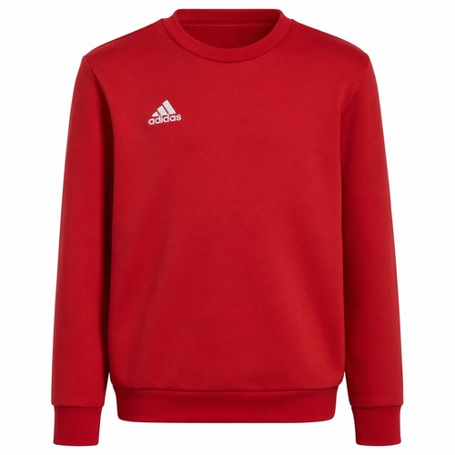 Adidas entrada sweatshirt - adidas,