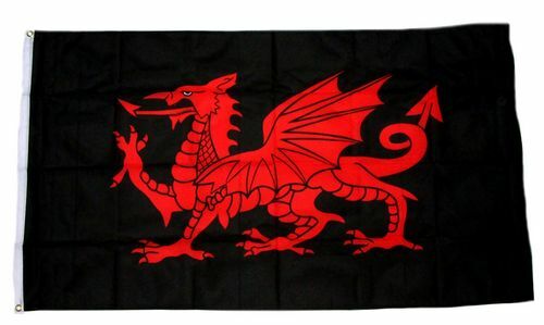 Fahne flagge wales - /,
