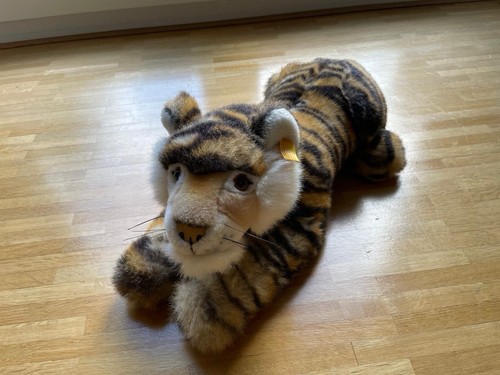 Tiger radjah - tiger,