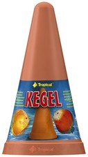 Tropical laichkegel - tropical, laichkegel-