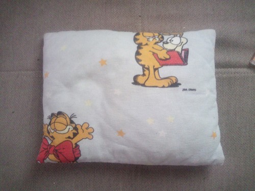 Garfield odi teddy kissen - garfield,,