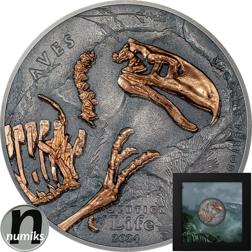 Aves evolution life 2024 - evolution, of