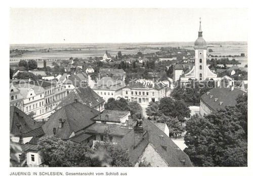 Jauernig javornik - jauernig,