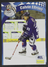 2006/07 DEL Straubing Tigers