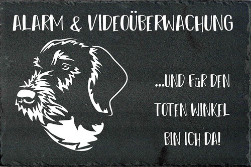 Deutsch drahthaar - deutsch,