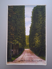 AK Bad Pyrmont Bomberg - Allee