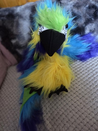 The puppet company blue - blue, gold
