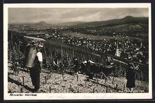 Ansichtskarte Ahrweiler, Weinlese 1935 