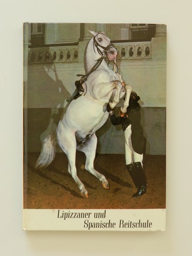 Lipizzaner und spanische - lipizzaner,