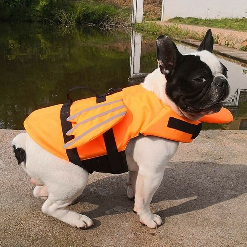 Hund schwimmweste für hunde - schwimmweste,