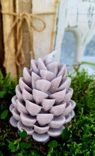 Kerze Zapfen , Pinienzapfen in