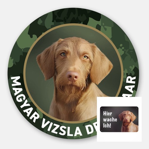 Magyar vizsla drahthaar - magyar,