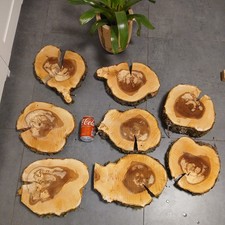 8 Baumscheiben Holzscheibe