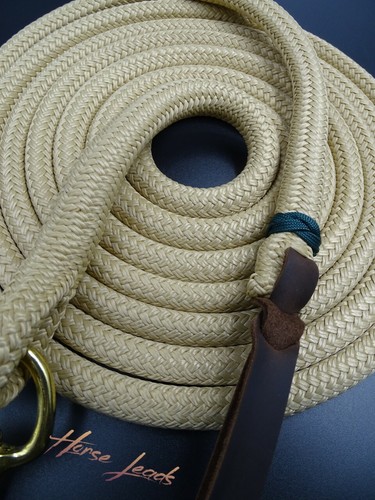 Natural horsemanship 9ft - horsemanship,