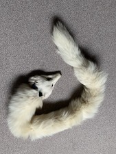 Blau Fuchs Kragen Echt Pelz mit Schnautze Sehr Gut.