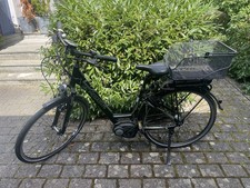 E-Bike Pegasus Solero E7-R