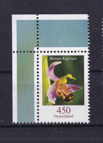 Bund 3191 eckrand links - eckrand,