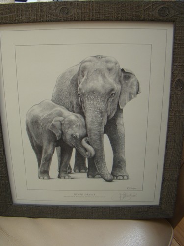 Jumbo family - jumbo,