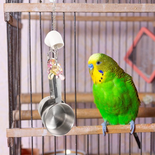 Vogelspielzeug für - ,