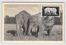 GERMANY DDR MK 1956 ZOO BERLIN