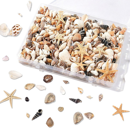Kleine muscheln bastelmaterial - kleine,