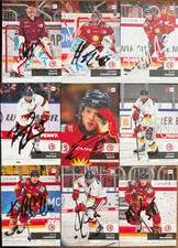 DEL Playercards 2024/25 TEAM-SET KOMPLETT DEG Düsseldorfer EG + UPDATE SIGNIERT