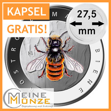 5 Euro Münze ROSTROTE