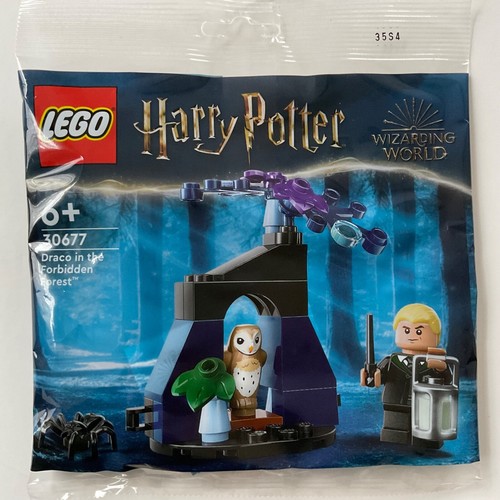 Lego harry potter 30677 draco - harry,