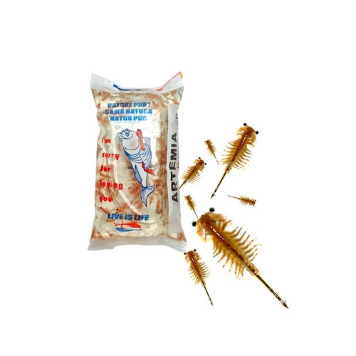 Artemia salinenkrebse - artemia,