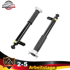 2x Stoßdämpfer Hinten Mit