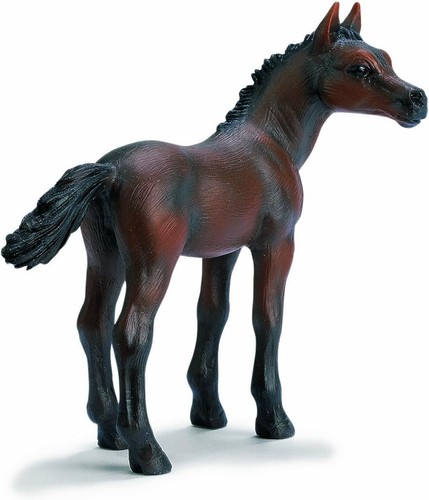Schleich arabisches fohlen - arabisches,