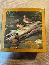 6er Set Untersetzer Vögel abwischbar Korkunterseite mit Holzbox, Bierdeckel