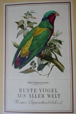 Sammelalbum Zigarettenbilder