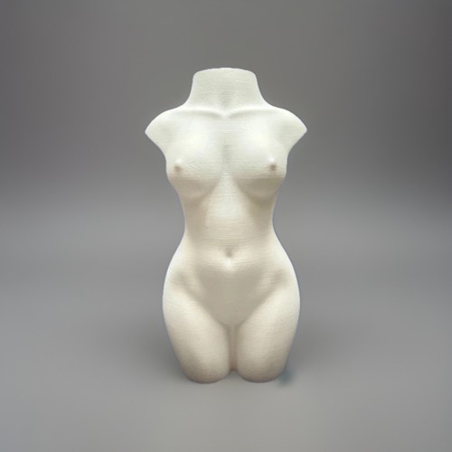 ästhetische frauen torso deko - frauen,