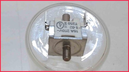 Temperatur fühler sicherung - temperatur,