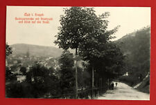 AK AUE im Erzgebirge um 1910 Bockauer Strasse mit Stadtpark  ( 69096