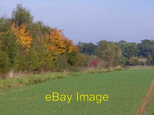 Foto 6x4 nördlich - , oak