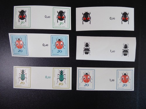 Ddr käfer 1968 6 - käfer,